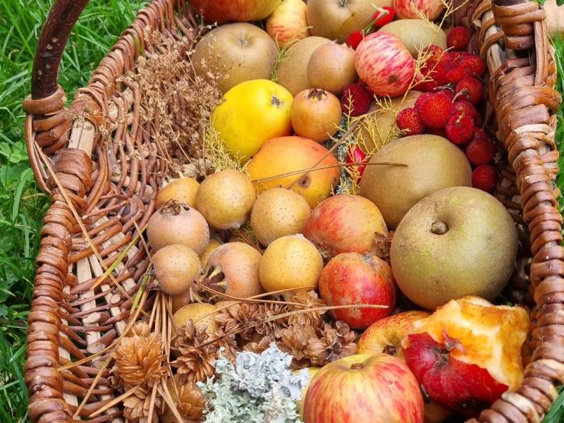 Les inspirations éphémères