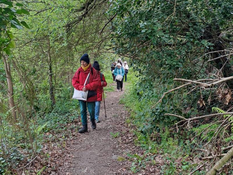 Les promenades sensorielles et énergétiques