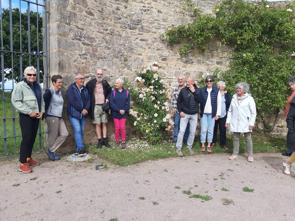 La taille des roses